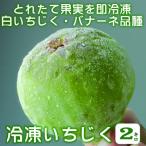 いちじく2kg 品種:バナーネ 白いちじく1kg入×2袋