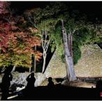 高取城ナイトウォーク 貸切ツアー 1グループ5名迄