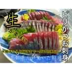 モチモチ食感 冷凍ビリかつお刺身300g×2節