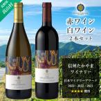 ふるさと納税 高山村 信州たかやまワイナリーの赤ワイン・白ワイン2本セット(メルロー&カベルネ、シャルドネ)