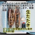 モチモチ食感 冷凍ビリかつおわら焼きタタキ300g×2節