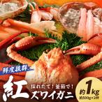 採れたて 釜茹で 紅ズワイガニ 2杯