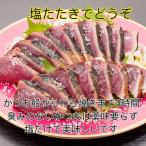 モチモチ食感 冷凍ビリかつおわら焼きタタキ250g×1節