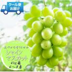 ショッピングふるさと納税 シャインマスカット ふるさと納税 南アルプス市 安心のクール便発送　シャインマスカット　4kg (6〜8房)　山梨県南アルプス市
