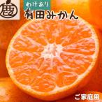 蔵出しみかん5kg+250g 傷み補償分
