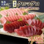 奄美大島産養殖クロマグロまるごと満喫セット
