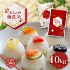 くまもとの無洗米 10kg