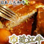 ふるさと納税 近江八幡市 近江牛煮込みハンバーグ 自家製デミグラスソース 【1200g(200g×6個)】