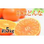 愛果28号 紅まどんな と同品種 訳あり 約5kg