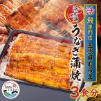 三代目むら上の職人手焼 浜名湖産鰻蒲焼120g 3枚