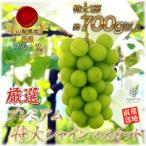 厳選 旬の味覚 産プレミアムシャインマスカット1房 700g以上