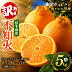 不知火 約5kg