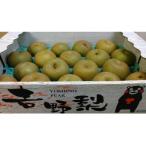 ふるさと納税 八代市 豊水梨　ご家庭用　約5kg　7〜22玉(八代市)