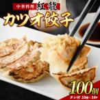 ふるさと納税 指宿市 カツオ餃子10パックセット(010-391)