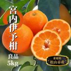 良品 約5kg