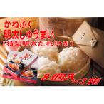 かねふくの明太しゅうまい8個入り〈特製明太たれ付き〉×3箱