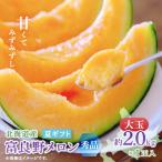 ふるさと納税 富良野市 富良野メロン(赤肉) 夏ギフト 大玉秀品 2.0kg以上 1玉入