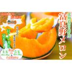 ふるさと納税 富良野市 富良野メロン秀品4玉か5玉 1玉/約1.6kg〜1.8kg入 8kg箱