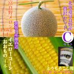 ふるさと納税 富良野市 「贅沢セットC」北海道富良野産赤肉メロン 1玉/とうもろこし4本詰め合わせ