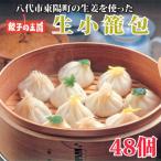 ふるさと納税 八代市 八代市東陽町の生姜を使った餃子の王国 生小籠包48個
