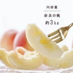 ふるさと納税 五條市 奈良の桃(約3kg)