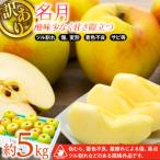 ふるさと納税 箕輪町 2025年!信州のりんご【名月】訳あり 約5kg 家庭用