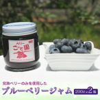 ブルーベリージャム 200g×2瓶