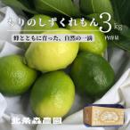 希望の島 レモン 3kg