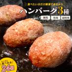 食べくらべたくなるハンバーグ〈3種〉 80g×24個