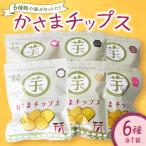 かさまチップスセット 6種類×各1袋