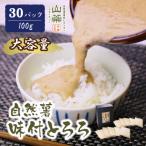 自然薯味付とろろ 30パックセット 100g×30p