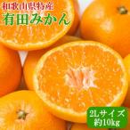ふるさと納税 印南町 [秀品]和歌山有田みかん約10kg大玉(2Lサイズ)(印南町)