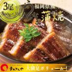 ふるさと納税 豊前市 福岡県産うなぎ蒲焼大3尾(合計480g)(豊前市)