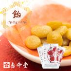 屋久島 種子島産ガジュツ配合 恵命堂我述飴