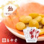 屋久島 種子島産ガジュツ配合 恵命堂我述飴
