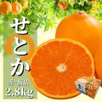 二種のみかん食べ比べ箱 愛果28号 はれひめ