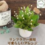 シュガーパインのプリザーブドフラワーアレンジ
