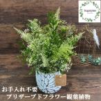 シュガーパインのプリザーブドフラワーアレンジ