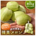 お漬物にぴったり 安田農園の摘果メロン