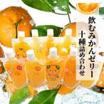 ふるさと納税 松山市 【10種】飲むみかんゼリー 詰め合わせ