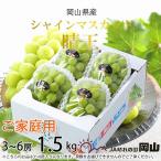 ご シャインマスカット晴王 1.5kg