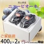 ご ピオーネ 400g×2房