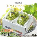 ご シャインマスカット 晴王 400g×2房