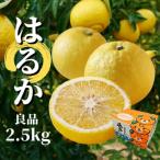 良品約2.5kg 愛媛 みかん 蜜柑 柑橘 果物