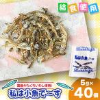 給食使用で安心の私は小魚でーす 5g×40個
