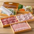 ふるさと納税 京丹波町 京丹波高原豚と九条葱の出汁しゃぶしゃぶセット(京都・京丹波町産　京都丹波の豚肉)