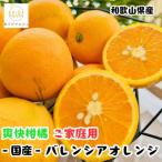 有田育ちのバレンシアオレンジ ご 3kg
