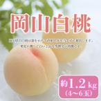 ふるさと納税 津山市 【2025年発送】【7月発送】岡山白桃 約1.2kg(4〜6玉)