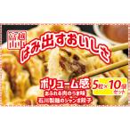 ジャンボ餃子5粒入りタレ付10個セット