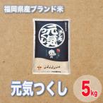 ふるさと納税 大野城市 福岡県産ブランド米元気つくし5kg